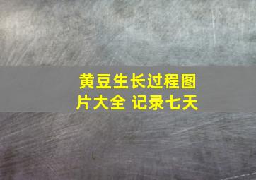 黄豆生长过程图片大全 记录七天